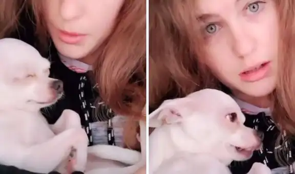 Cachorro consentido tiene tierno gesto cuando su dueña le habla dulcemente