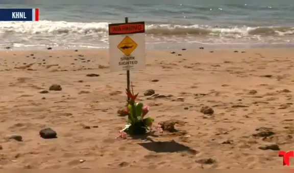 Hombre muere atacado por un tiburón en Hawái mientras nadaba