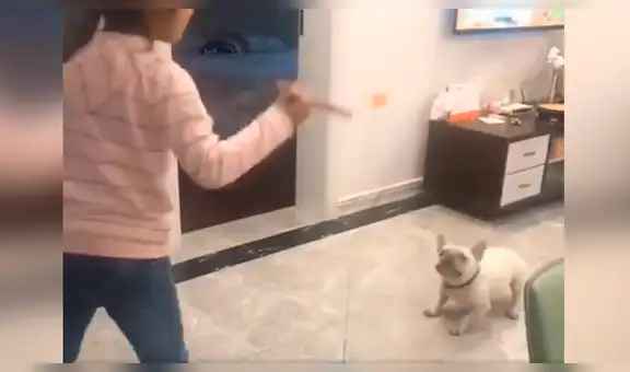 Madre pide a su hija vigilar a su mascota y al regresar las encuentra en una tierna escena [VIDEO]  