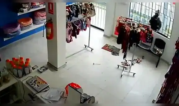 Roban en veterinaria de San Miguel durante el domingo de inmovilización social [VIDEO]