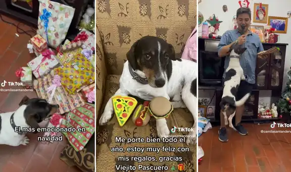 Perrito muestra toda su emoción al abrir los regalos que le dieron sus amos por Navidad