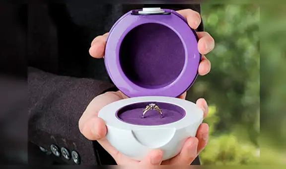 Presentan colección oficial de anillos de compromiso inspirados en Pokémon [FOTOS]