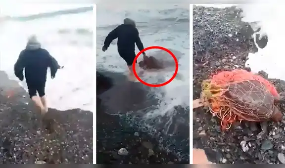 YouTube viral: hombre arriesga su vida e ingresa al mar para salvar a tortuga cubierta de plástico [VIDEO]