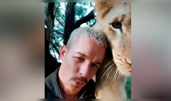 Cuidador ingresa a campo de leones para reencontrarse con felinos que cuidó de bebés [VIDEO]