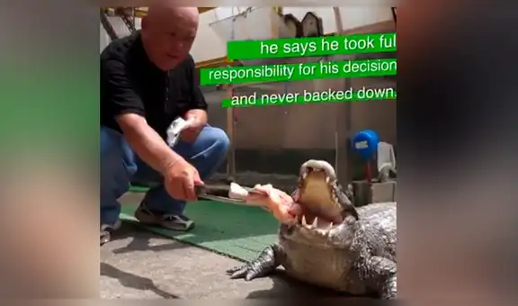 Anciano cría caimán como si fuera su ‘bebé’ y depredador le muestra todo su afecto [VIDEO]