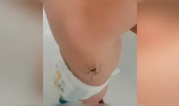 Bebé siente que enorme araña caminaba por su brazo y tiene peculiar reacción [VIDEO]