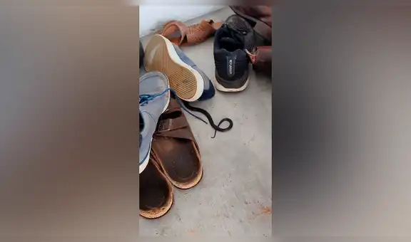 Joven intenta ponerse sus zapatos y capta a serpiente negra arrastrándose por el piso [VIDEO]