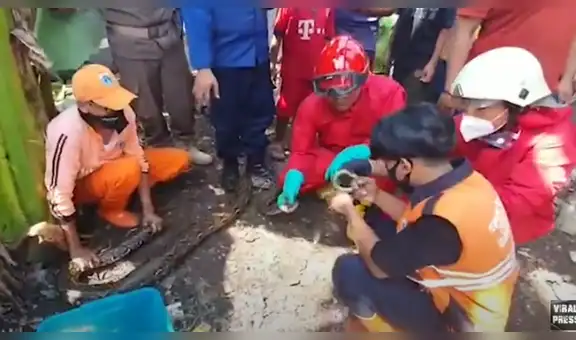 Gigantesca serpiente aterra a pobladores al aparecer arrastrándose en una tubería [VIDEO]