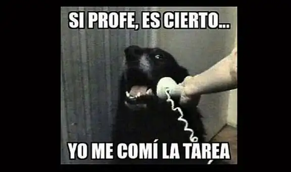 En Facebook usuarios rinden honor por el Día del Maestro con llamativos memes