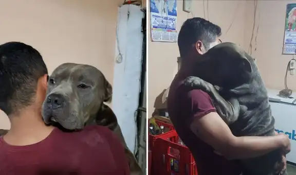Joven peruano se reencuentra con su perro extraviado tras varios meses y protagonizan tierna escena [FOTOS]