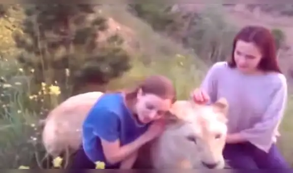Chicas entran a temible santuario de leona para un ‘selfie’ y esta las sorprende con increíble reacción [VIDEO]