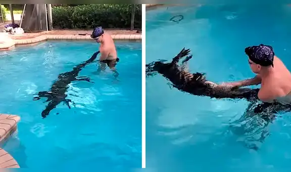 Chico intenta atrapar terrorífica criatura en piscina, sin imaginar la reacción que tendría el depredador [VIDEO]