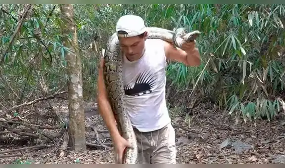 Enorme pitón ataca a youtuber luego de que este la enroscara en su cuello [VIDEO]