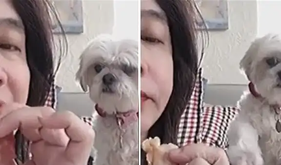 Perro tiene conmovedora reacción al ver que su dueña come sus alimentos sin invitarle [VIDEO]