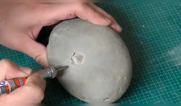 Encuentra extraña roca y descubre que era un fósil de más de 12 millones de años [VIDEO]
