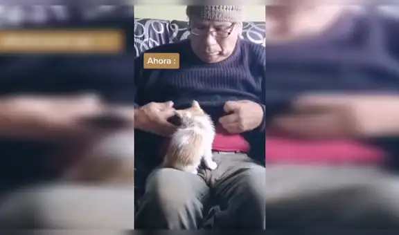 Hombre no quería tener gatos en casa, su hija le llevó uno y ellos se volvieron inseparables [VIDEO]