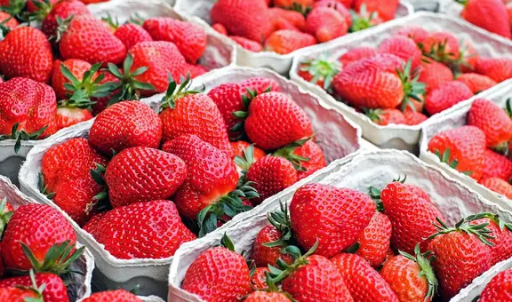 ¿Cómo desinfectar correctamente las fresas? Esto es lo que recomienda la ciencia