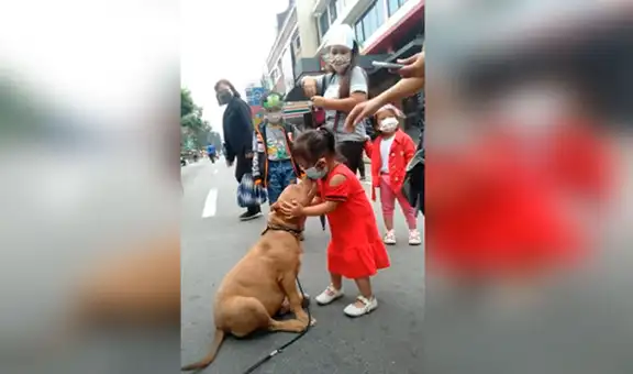 Niña conoce a un perro en la calle y se aferra a él para quedarse a su lado