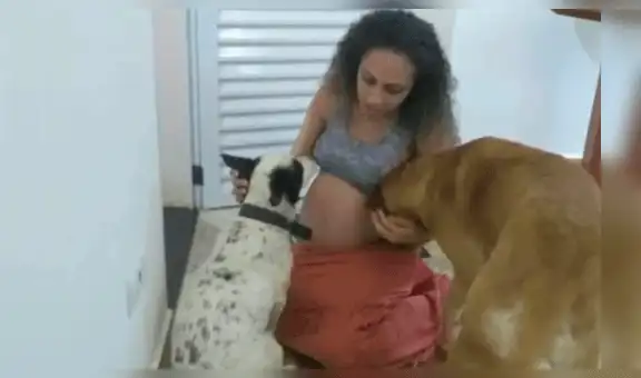 Brasil: dos bebés prematuras murieron tras ser atacadas por el “celoso” perro de la familia