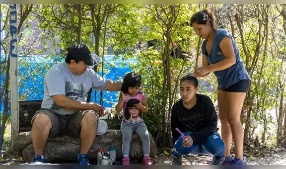 Sus padres no tenían dinero y no fue al paseo escolar: se salvó de trágico accidente 