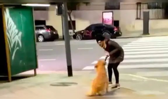 “Se quedó conmigo, ja”: mujer que golpeó a su perro en la calle se burla de fallo a su favor