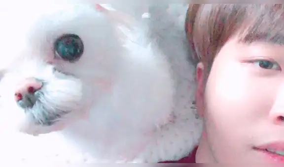 GOT7: Youngjae lanza línea de ropa junto a su mascota Coco