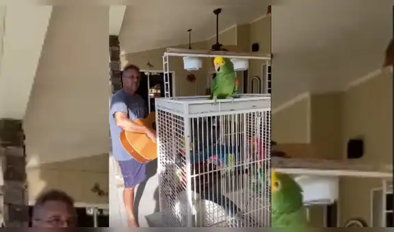 Loro ve a su amo tocando la guitarra e improvisa una emotiva melodía para acompañarlo [VIDEO]