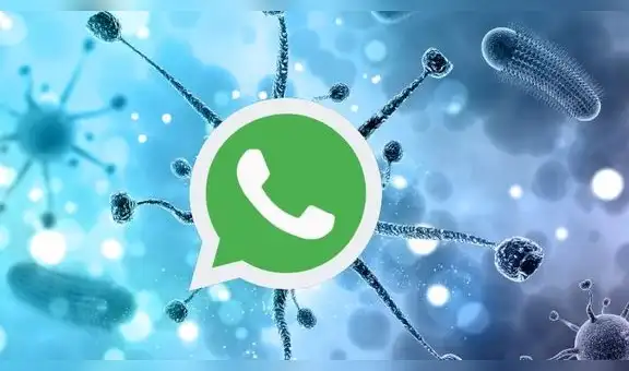 La OMS lanza versión en español de su chat de WhatsApp sobre el coronavirus [FOTOS]