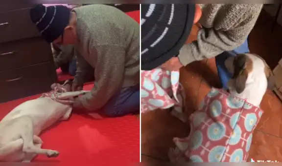 Anciano recoge retazos de tela y cose una chompa para abrigar a su pequeño perro [VIDEO]