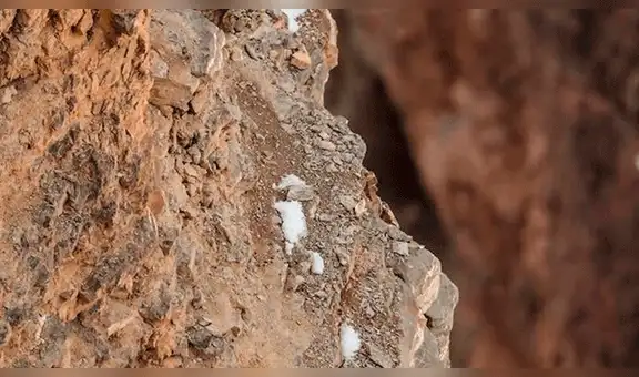 ¿Puedes encontrar al leopardo camuflado en la montaña?: el nuevo reto viral que es sensación en redes sociales [FOTOS]