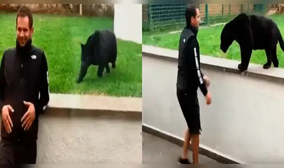 YouTube viral: implacable pantera aparece sigilosamente y sorprende por la espalda a su cuidador [VIDEO]