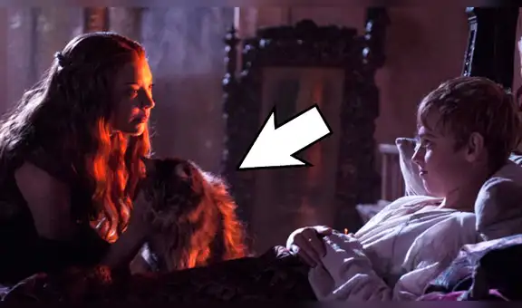 Game of Thrones: Productor reveló el trágico final del gato de Tommen Baratheon