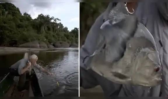 Pescador arroja su anzuelo para capturar un pez, pero emerge un peligroso animal [VIDEO]