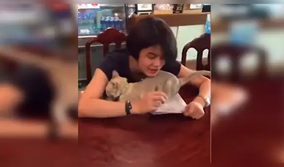 Gata impide que su dueña trabaje con graciosa conducta para llamar la atención [VIDEO]