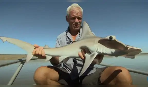 Pescador captura a uno de los tiburones más extraños del planeta por su extraño aspecto [VIDEO]