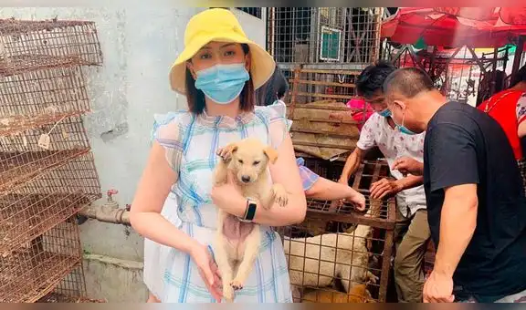 China vuelve con su feria anual de carne de perro en plena pandemia por la COVID-19