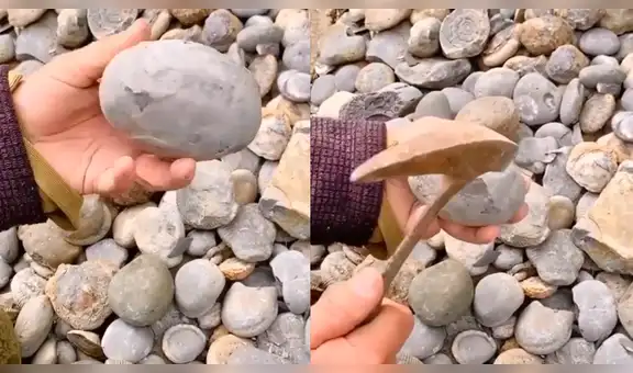 Utiliza martillo para romper extraña roca y nota que hay algo increíble en su interior [VIDEO]