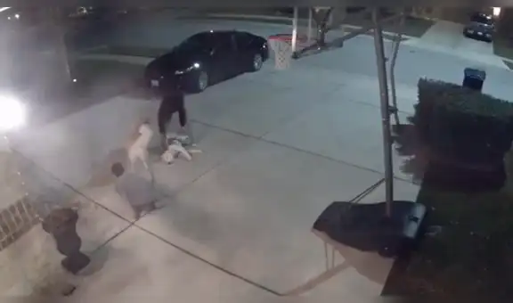 Perro se niega a entrar a su casa y protagoniza 'pataleta’ en la vía pública [VIDEO]