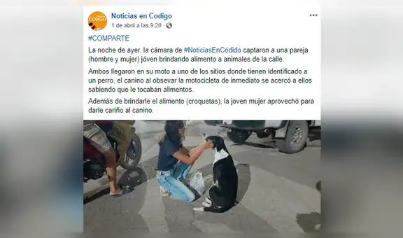 Pareja ofrece alimentos y cariño a perros callejeros durante la cuarentena [FOTOS]