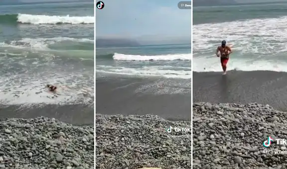 Hombre lleva a su perrito a la playa para un día de diversión, pero no salió como lo esperaba