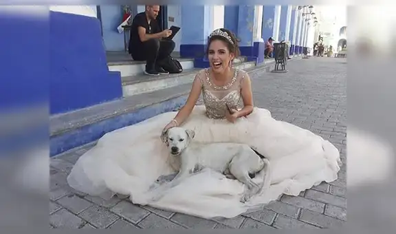 Quinceañera tiene adorable gesto con perro callejero que se ‘coló’ en su sesión de fotos [FOTOS] 