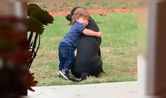Mujer llega a su casa y halla a su hijo y a su perro en una conmovedora escena [VIDEO]