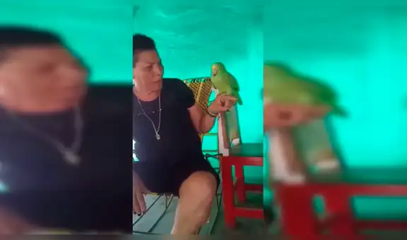 Facebook : Loro llora como bebé porque dueña lo castiga y se vuelve viral