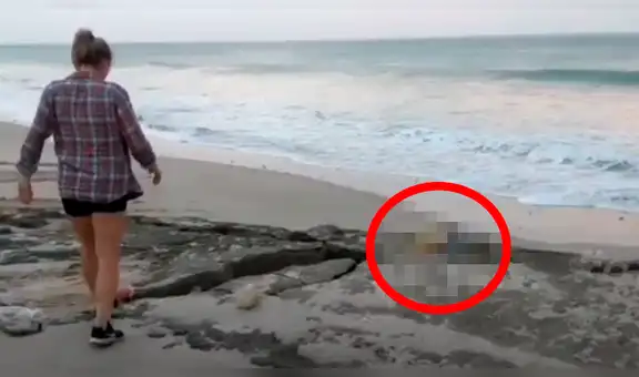 Conmovedor rescate que hizo joven a ‘misteriosa criatura’ atrapada entre las rocas hace llorar a miles [VIDEO]