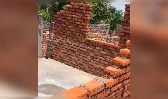 Albañiles construyen pequeña habitación, pero olvidan dejar espacio para la puerta [VIDEO]