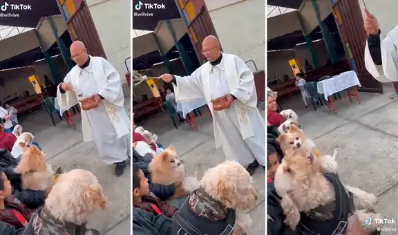 Sacerdote lanza agua bendita a perritos y uno de ellos tiene curiosa reacción