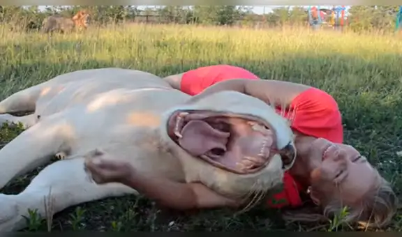 Turista entra a santuario de leones para sacarse un ‘selfie’ y felina lo sorprende con singular conducta [VIDEO]