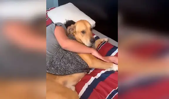 Perro impide que regañen a su dueño y se pone junto a él para que no lo toquen