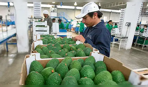 TLC con Australia impactará en repunte de exportaciones del Perú 