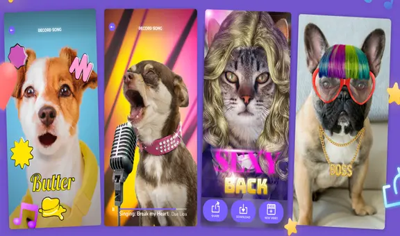 PetStar: ¿cómo utilizar la app que hace ‘cantar’ a tu perro, gato u otra mascota?